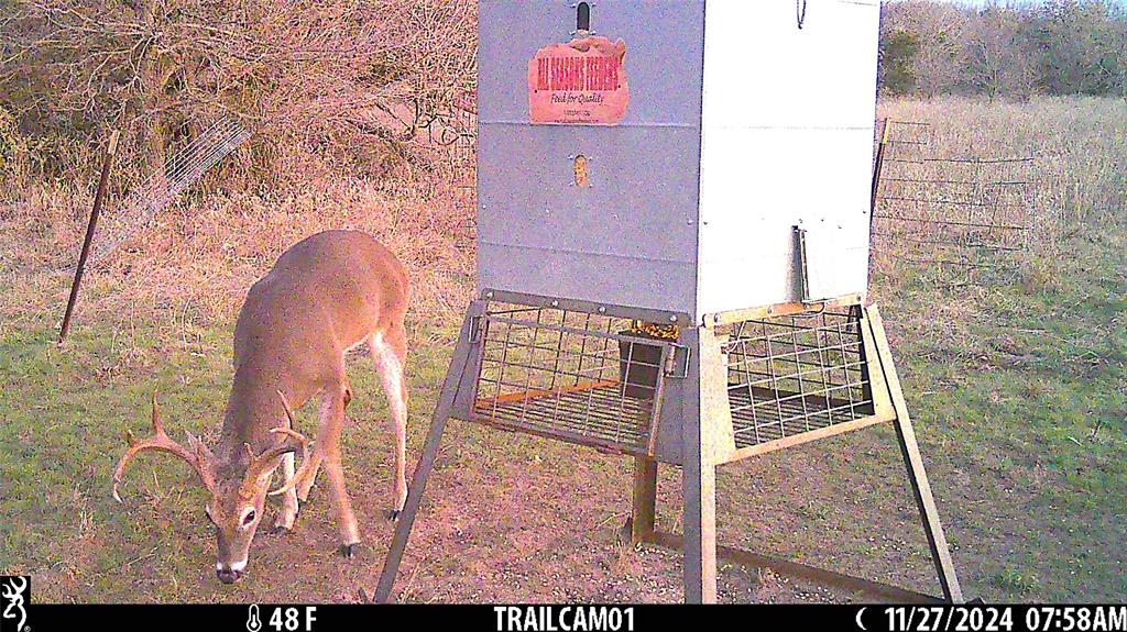 11020 Highway 281 Perrin, TX 76486 - Photo 13 of 22