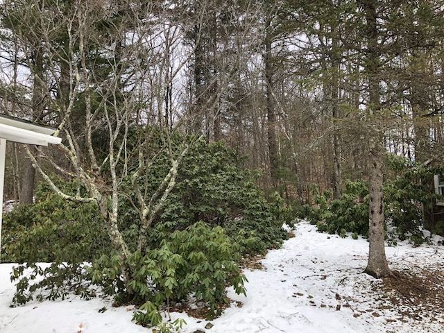 172 Walsh Road Wakefield, NH 03872 - Photo 4 of 29 Gallery Image 4