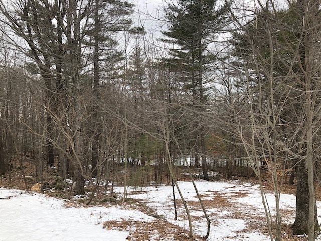 172 Walsh Road Wakefield, NH 03872 - Photo 5 of 29 Gallery Image 5