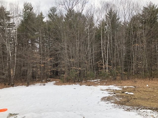 172 Walsh Road Wakefield, NH 03872 - Photo 6 of 29 Gallery Image 6