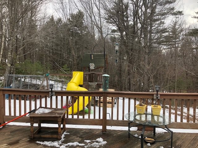 172 Walsh Road Wakefield, NH 03872 - Photo 8 of 29 Gallery Image 8
