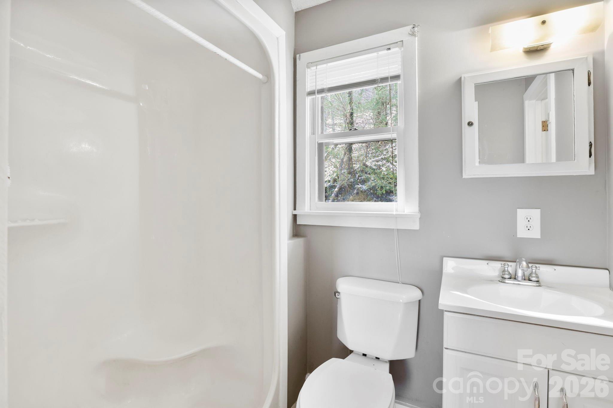 186 Greentree Lane Canton, NC 28716 - Photo 21 of 32 a bathroom with a toilet sink and mirror