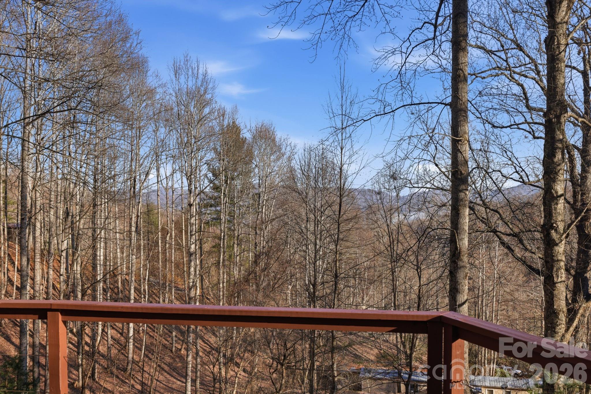 186 Greentree Lane Canton, NC 28716 - Photo 27 of 32 a view of a balcony with trees