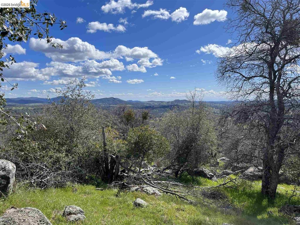 18351 Olov Road Sonora, CA 95370 - Photo 8 of 29 a view of a house with a yard