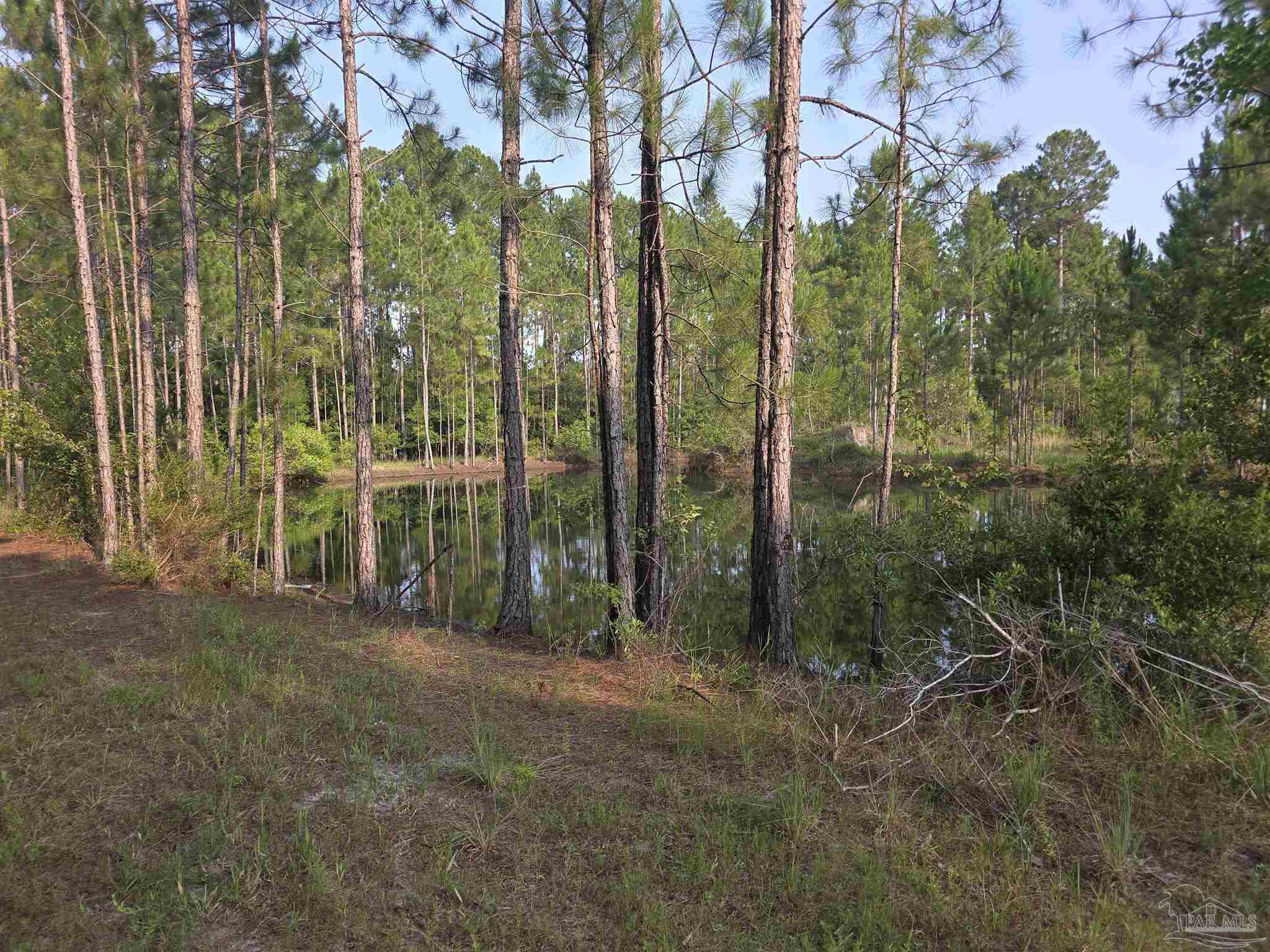 980 Rustic Lane Pensacola, FL 32506 - Photo 4 of 10 a view of outdoor space and garden