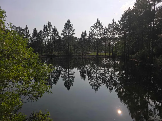 a view of a lake in between forest