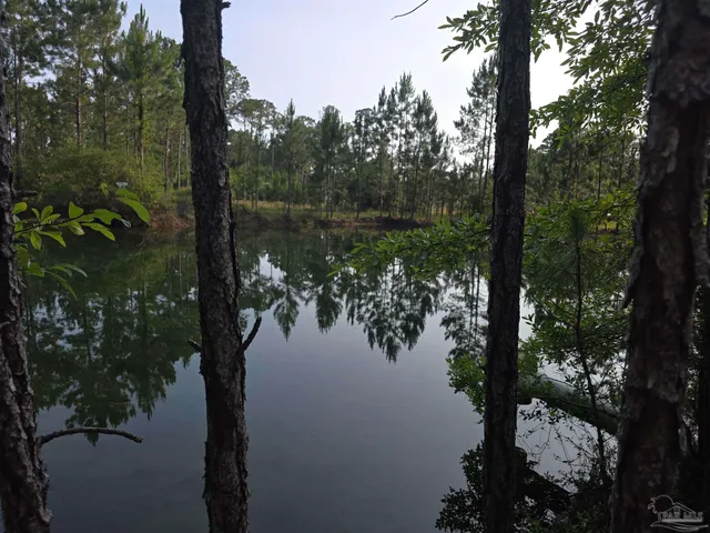 a view of a field of grass and trees