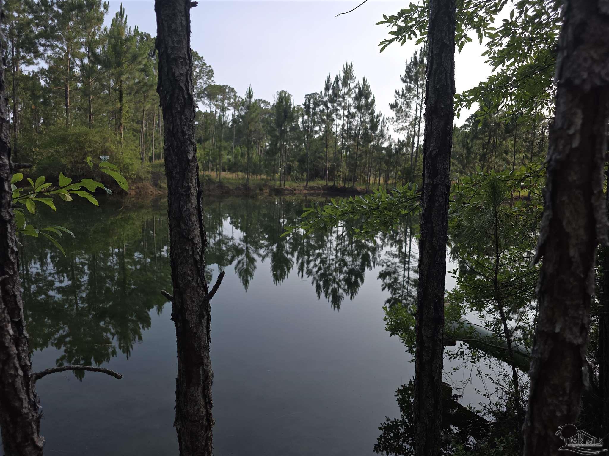 980 Rustic Lane Pensacola, FL 32506 - Photo 6 of 10 a view of a lake in between forest