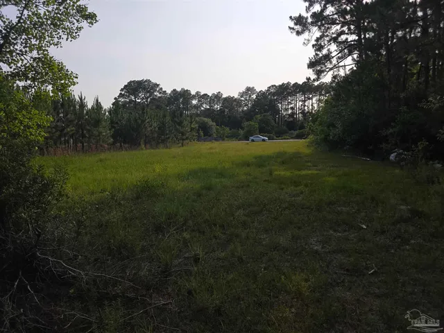 a view of grassy field with trees
