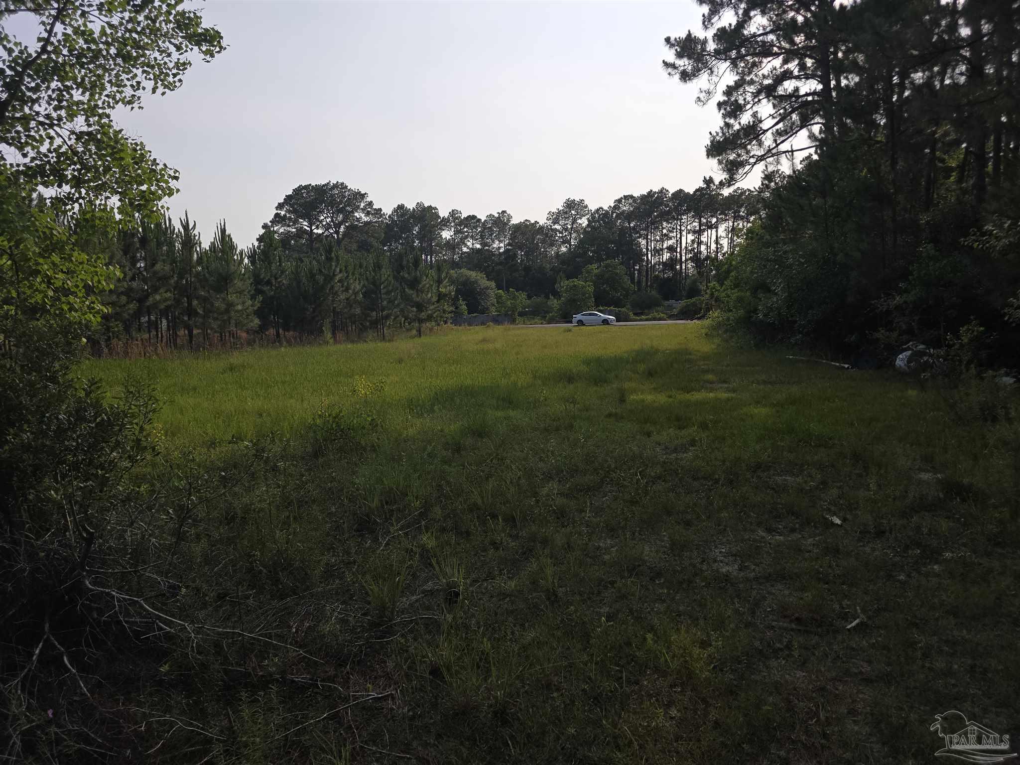 980 Rustic Lane Pensacola, FL 32506 - Photo 7 of 10 a view of a field of grass and trees