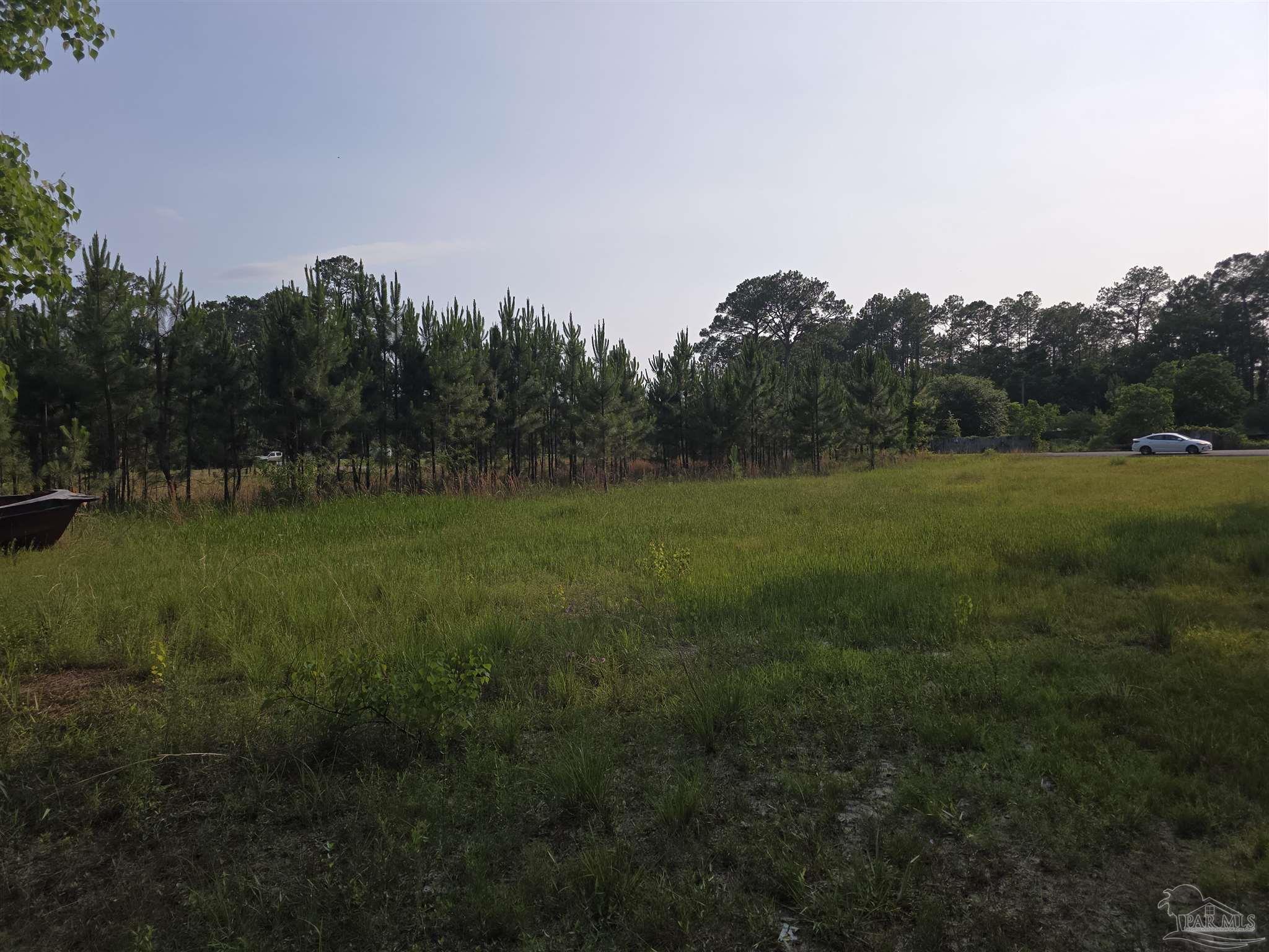 980 Rustic Lane Pensacola, FL 32506 - Photo 8 of 10 a view of grassy field with trees