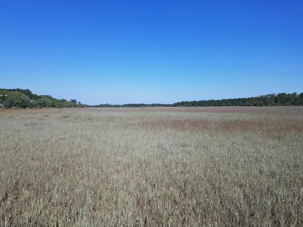 2 Park Island Road Meggett, SC 29449 - Photo 2 of 6 park island11