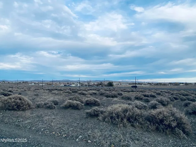 a view of a field of lots of trees
