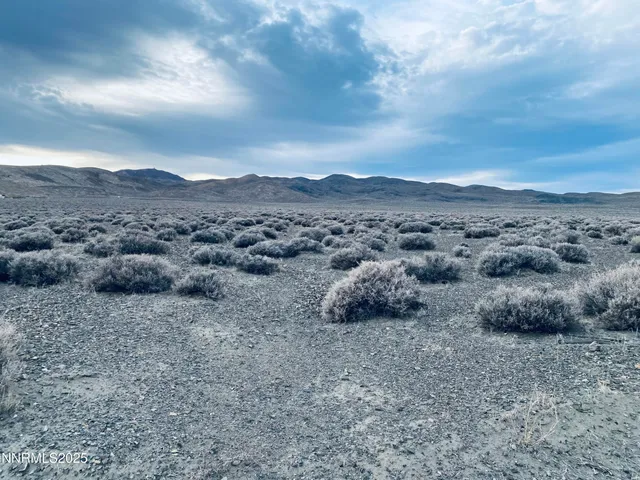 a view of a dry field with mountains in the background