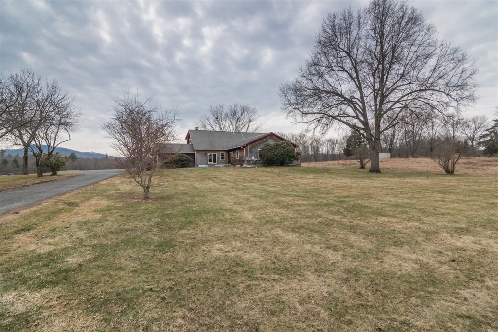89 Potwine Lane Amherst, MA 01002 - Photo 36 of 37 a view of a yard with large trees