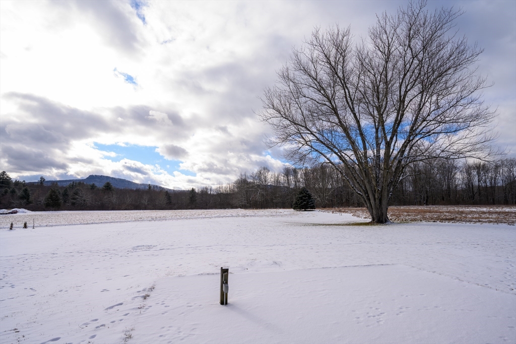 89 Potwine Lane Amherst, MA 01002 - Photo 4 of 41 a view of white house with a yard