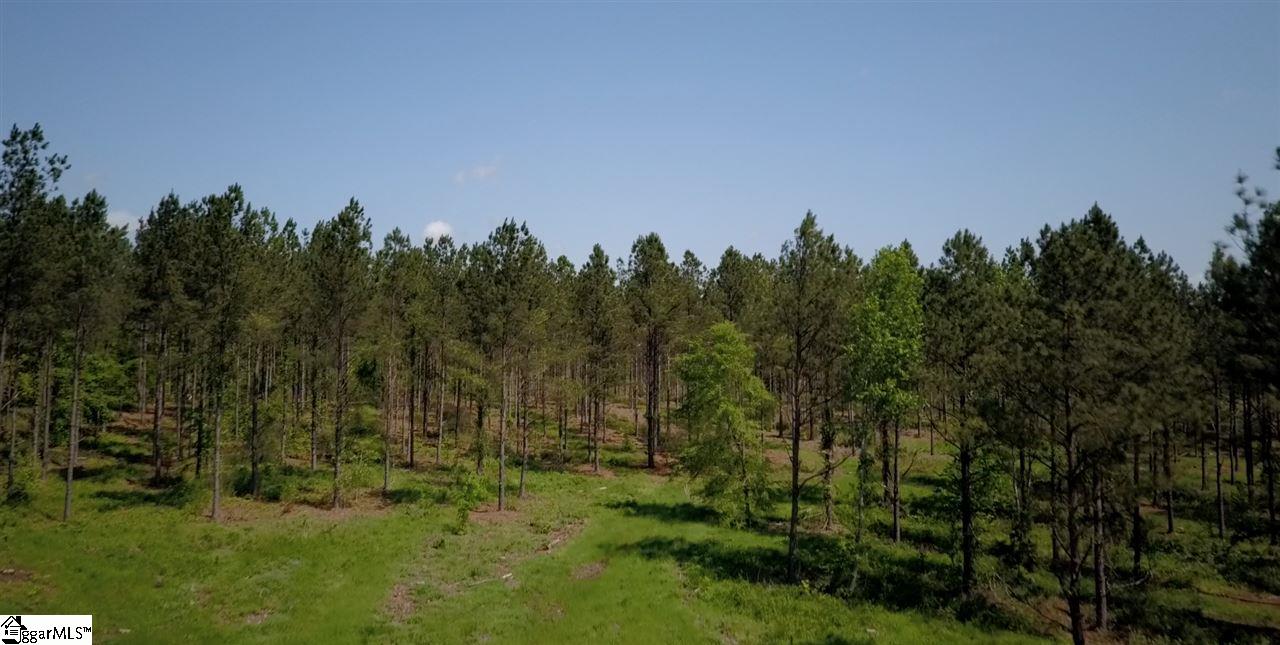 525 Johnson Road, Unit TRACT A 2 Laurens, SC 29360 - Photo 3 of 8