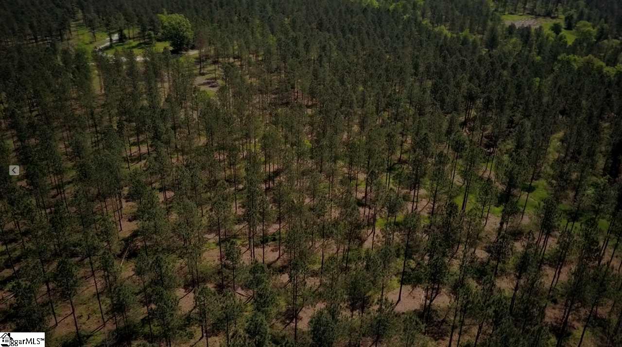 525 Johnson Road, Unit TRACT A 2 Laurens, SC 29360 - Photo 5 of 8