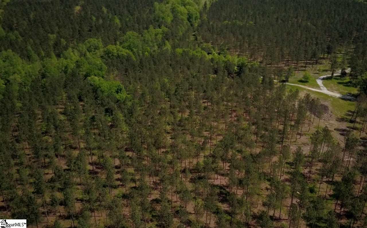 525 Johnson Road, Unit TRACT A 2 Laurens, SC 29360 - Photo 6 of 8