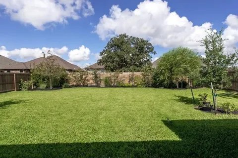 a view of a big yard with palm trees