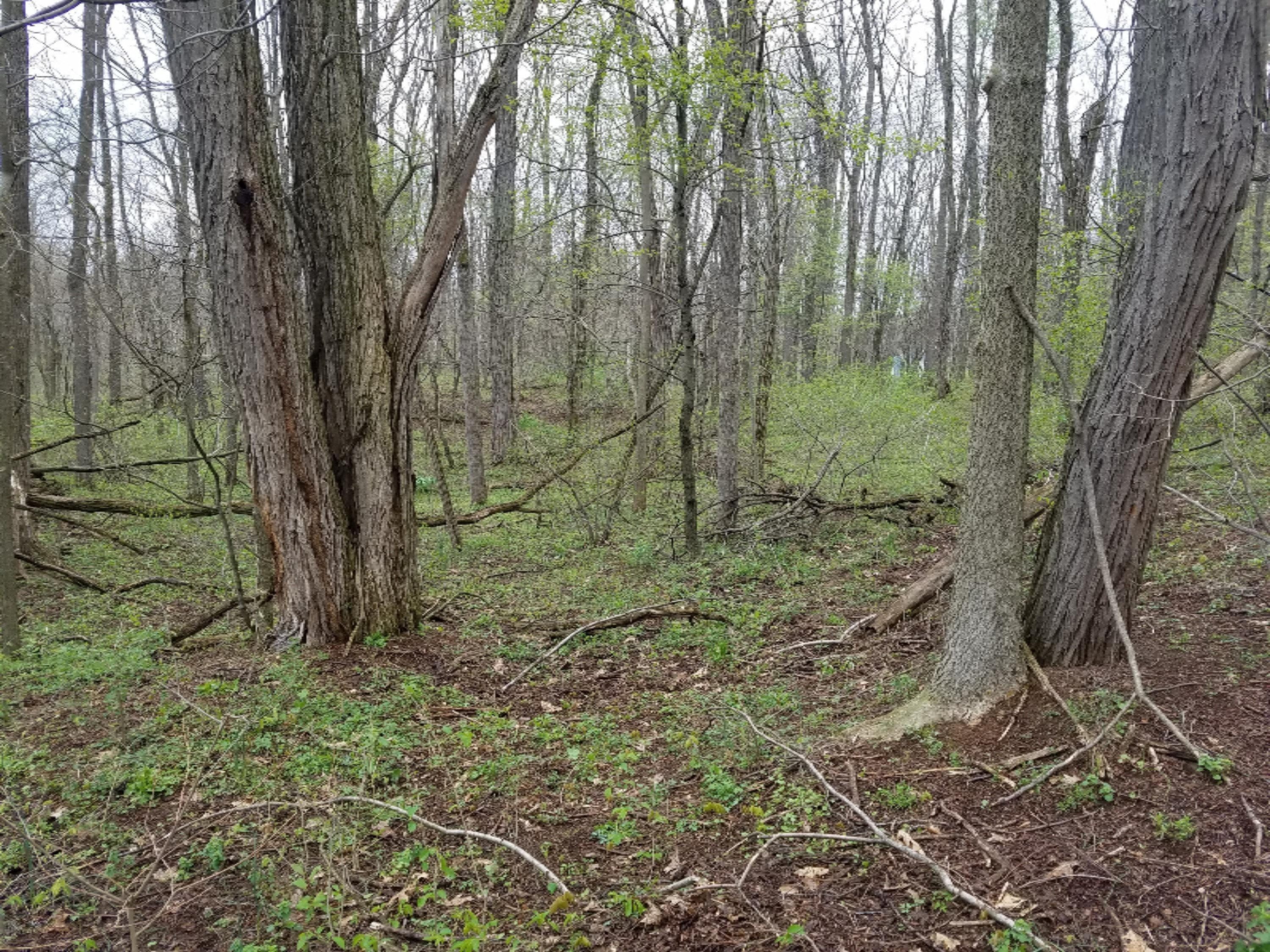 V/l Taft Road Allegan, MI 49010 - Photo 1 of 6 20160429_110323