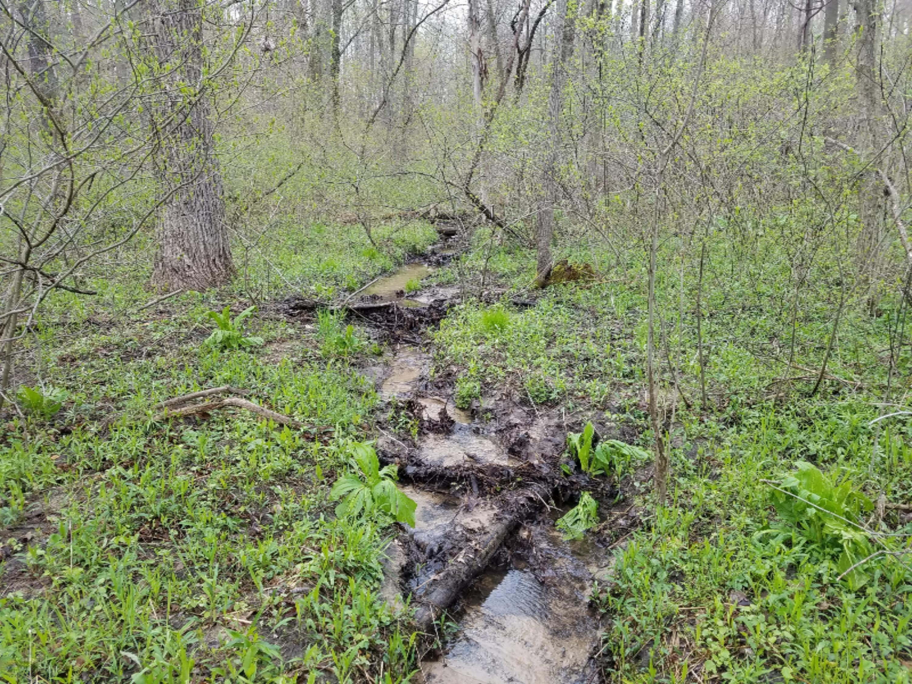 V/l Taft Road Allegan, MI 49010 - Photo 5 of 6 20160429_110539