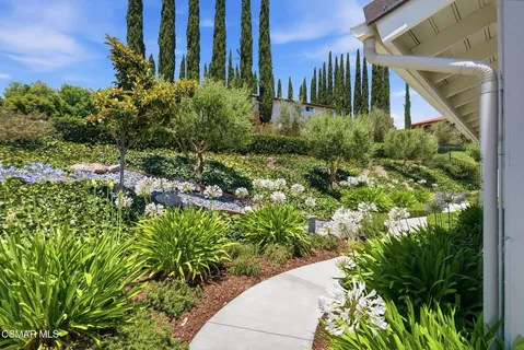a view of a garden with plants