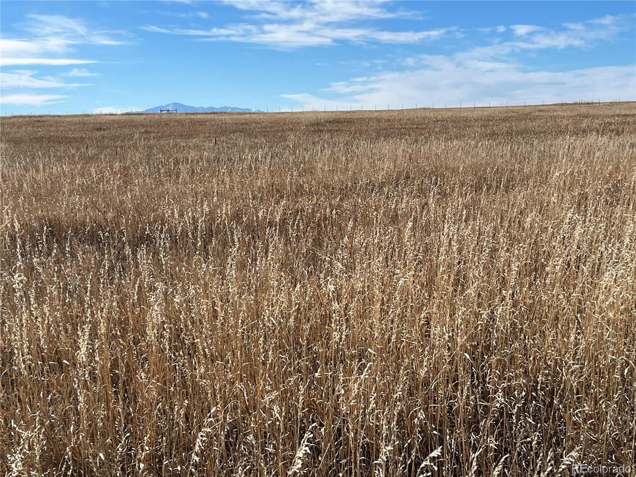 41 Rd Elbert Co 80106 Elbert, CO 80106 - Photo 19 of 27