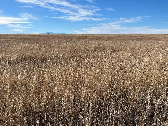 $325,000 | 41 Rd Elbert Co 80106, Elbert, CO 80106