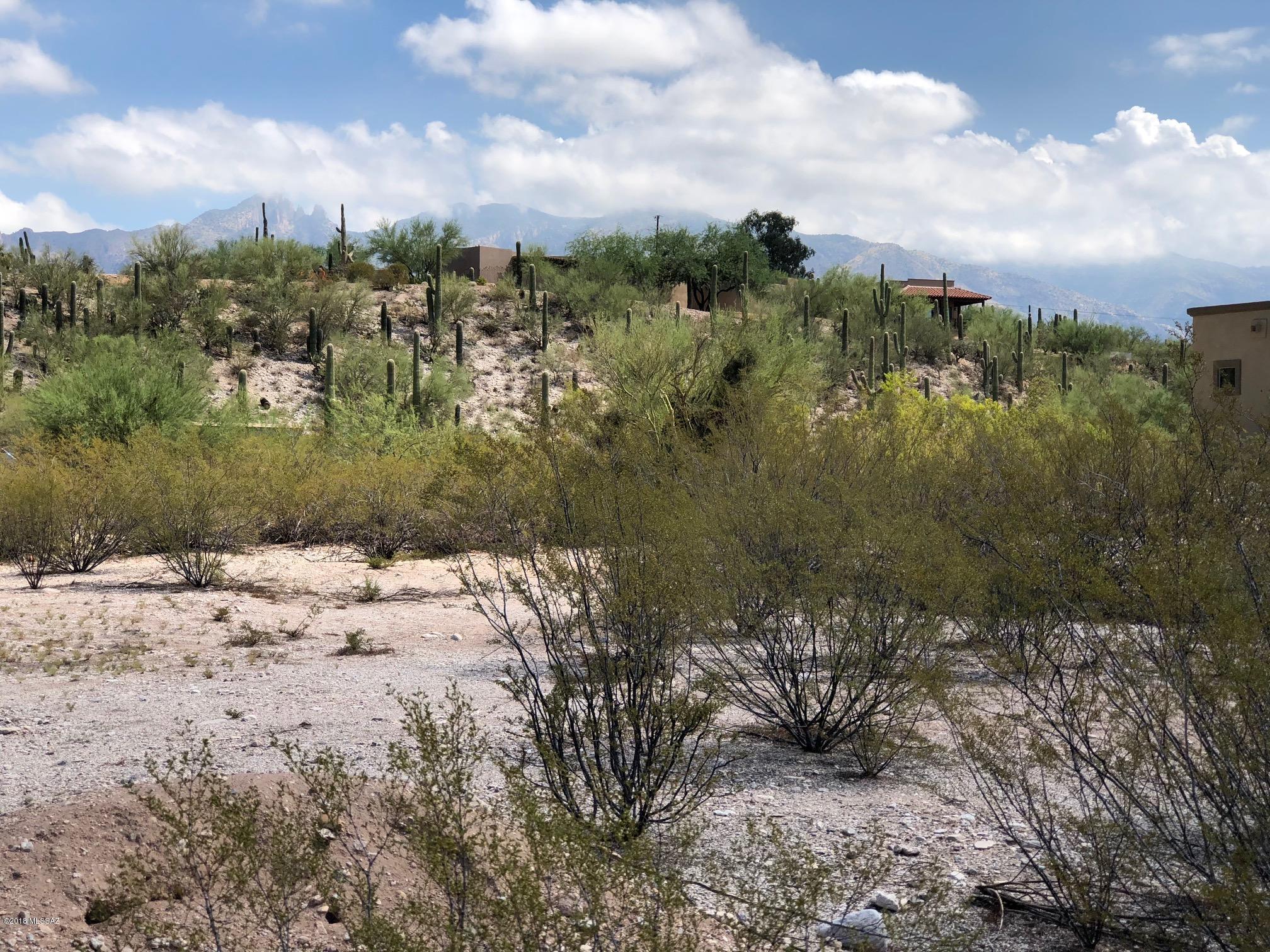 4275 North Country Club Road, Unit B Tucson, AZ 85718 - Photo 12 of 23 Gallery Image 12