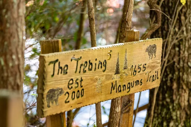 a view of balcony with wooden floor