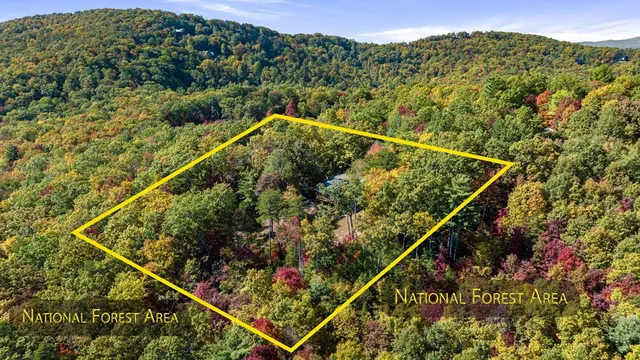 a view of a large yard with plants and a mountain view