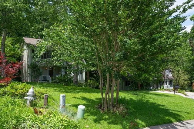 a backyard of a house with plants and large trees