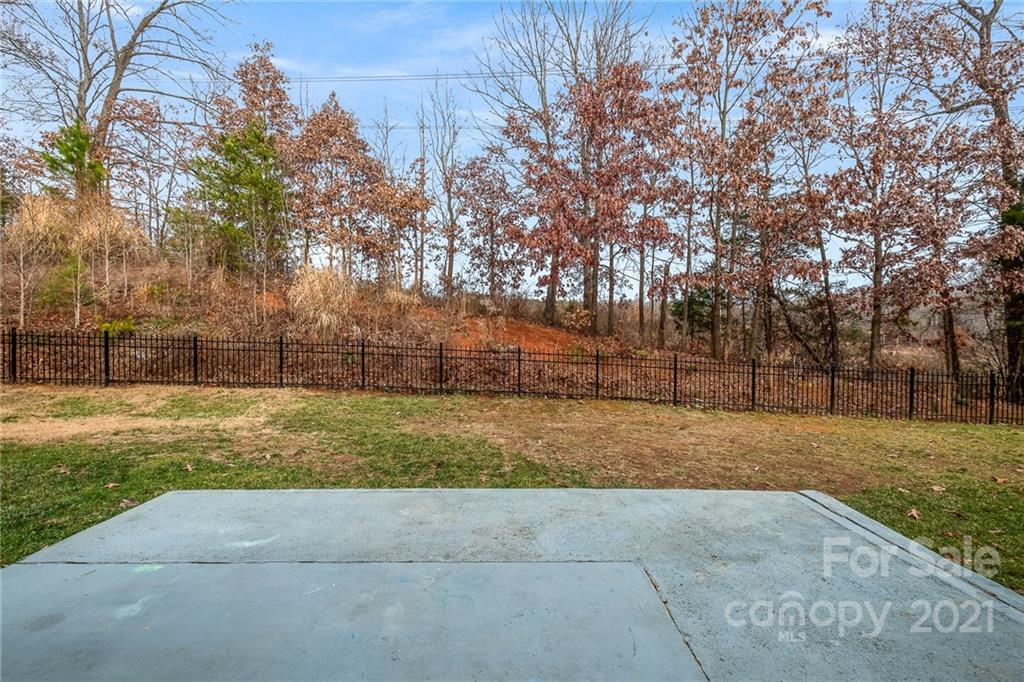 7837 East Berkeley Road Denver, NC 28037 - Photo 14 of 20 a view of yard with tree