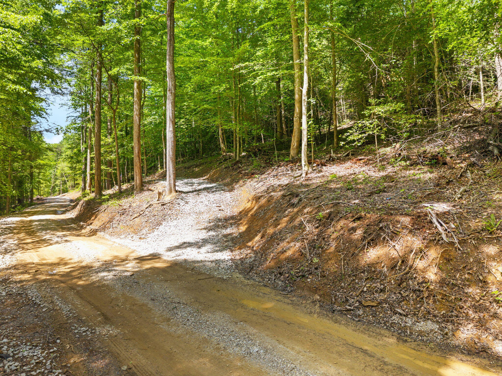 55 Lawson Ridge Road Campton, KY 41301 - Photo 5 of 10 View of driveway on lot 5