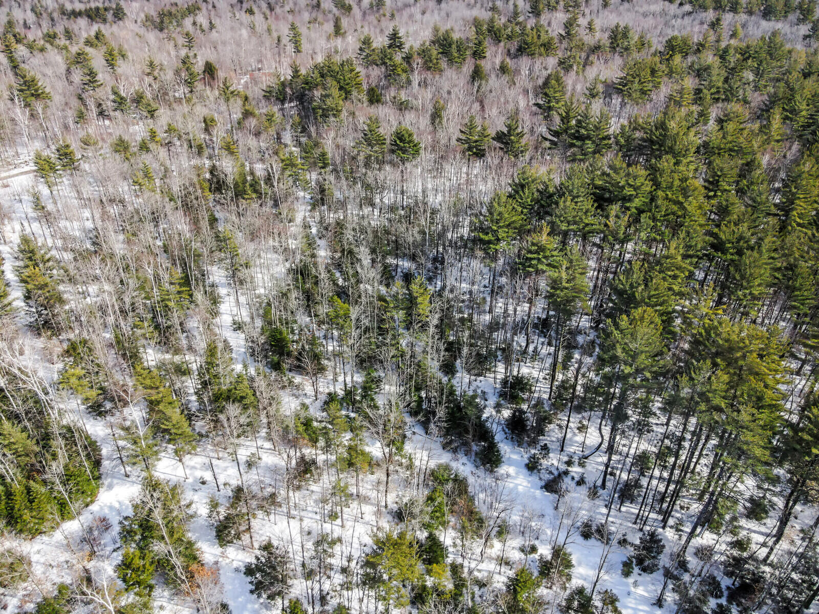 0 Ladd Road Mercer, ME 04957 - Photo 5 of 13 11_DJI_0758_copy_DxO_mls