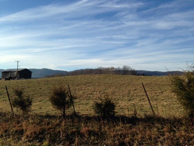 Back Valley Road Road Speedwell, TN 37870 - Photo 3 of 9 FROM BACK VALLEY ROAD