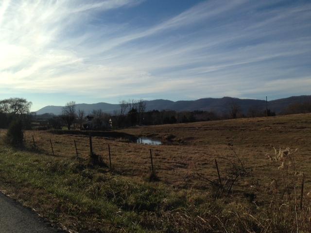 Back Valley Road Road Speedwell, TN 37870 - Photo 8 of 9 LAND VIEW