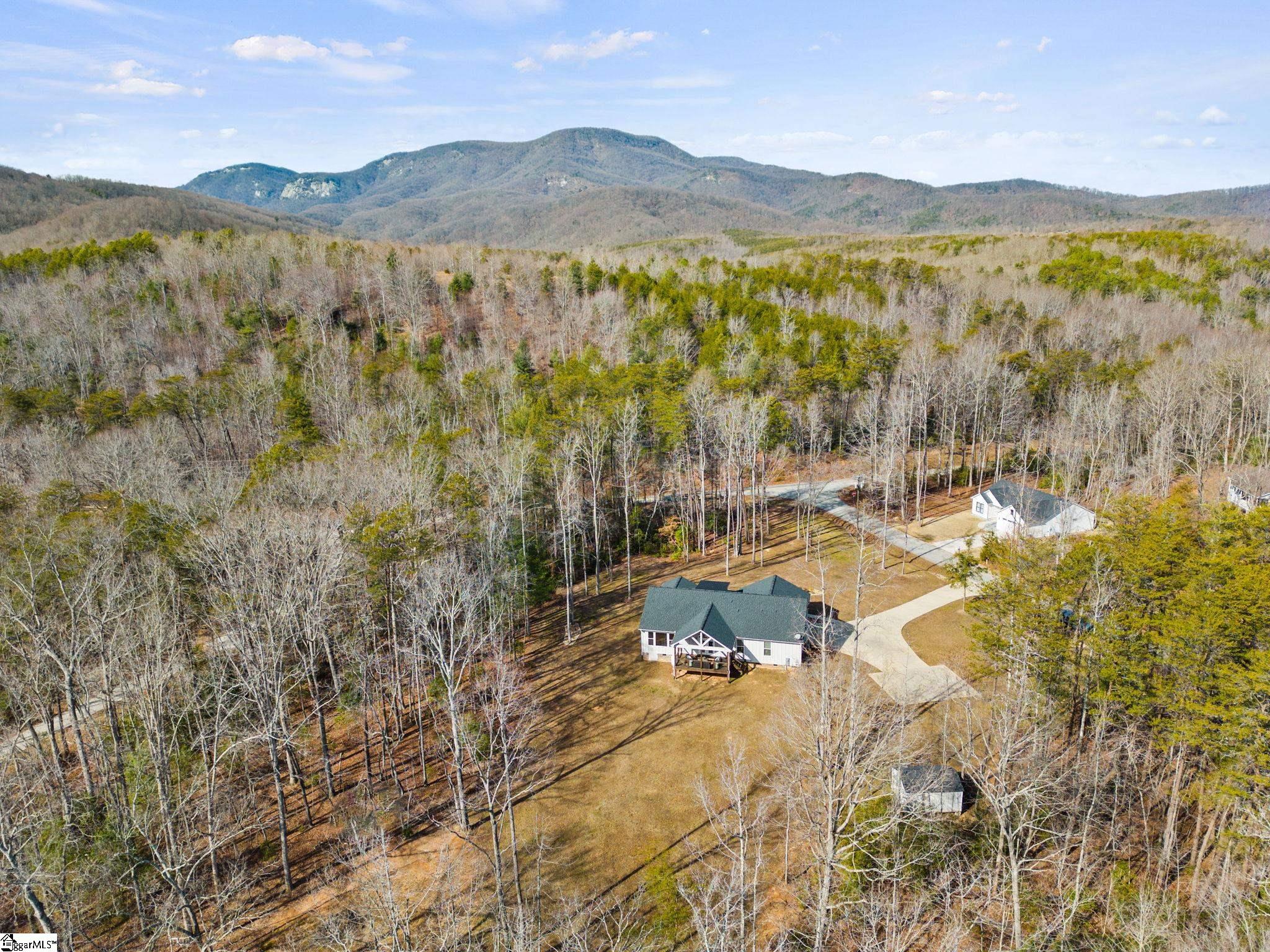 299 Red Hill Road Landrum, SC 29356 - Photo 34 of 34