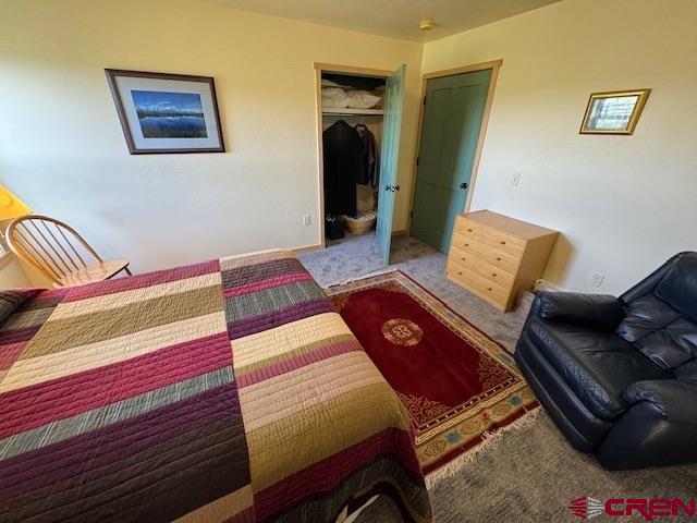 11737 Bostwick Park Road Montrose, CO 81401 - Photo 23 of 36