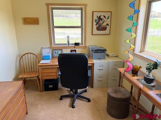 11737 Bostwick Park Road Montrose, CO 81401 - Photo 27 of 36