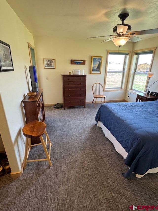 11737 Bostwick Park Road Montrose, CO 81401 - Photo 28 of 36