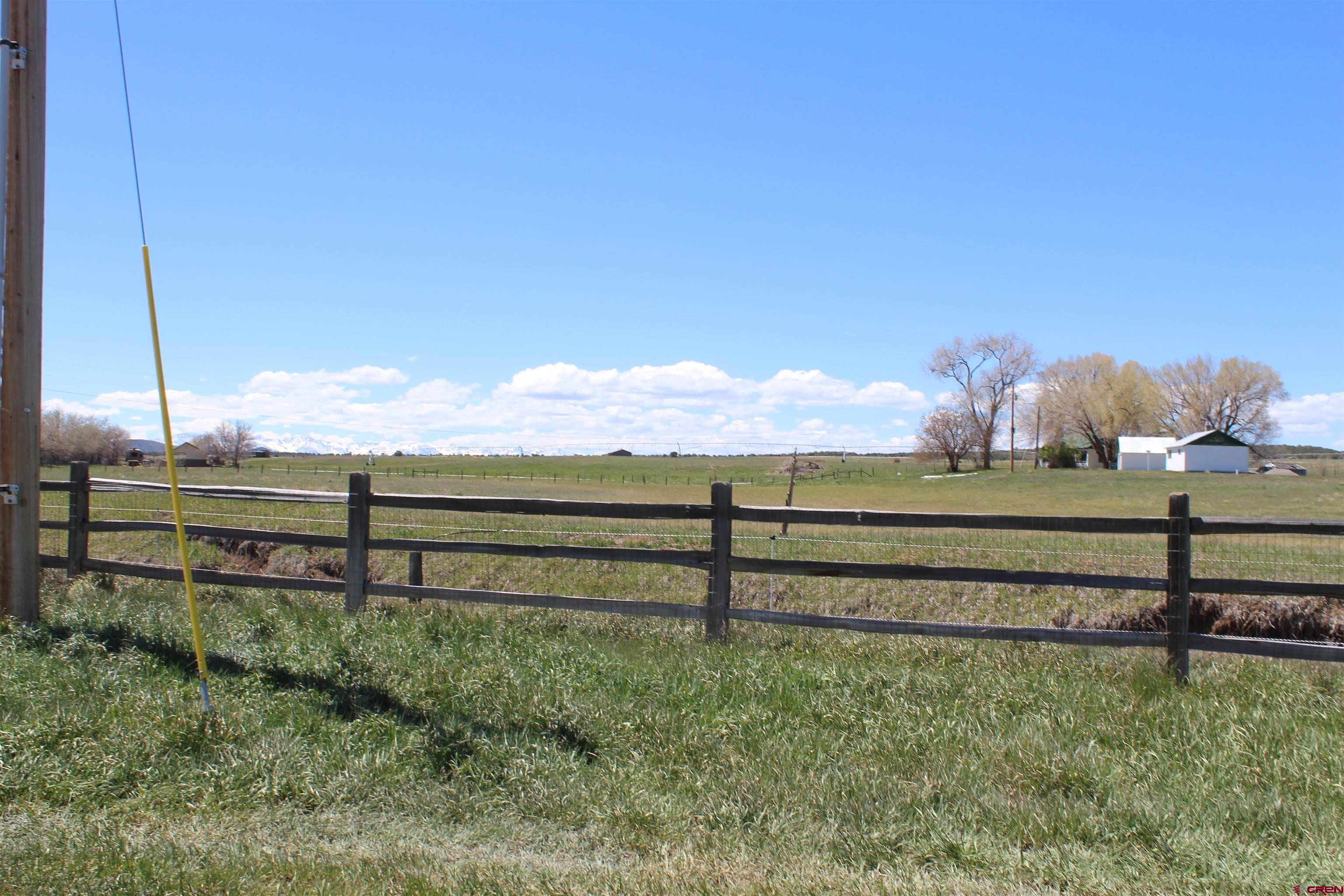 11737 Bostwick Park Road Montrose, CO 81401 - Photo 30 of 36