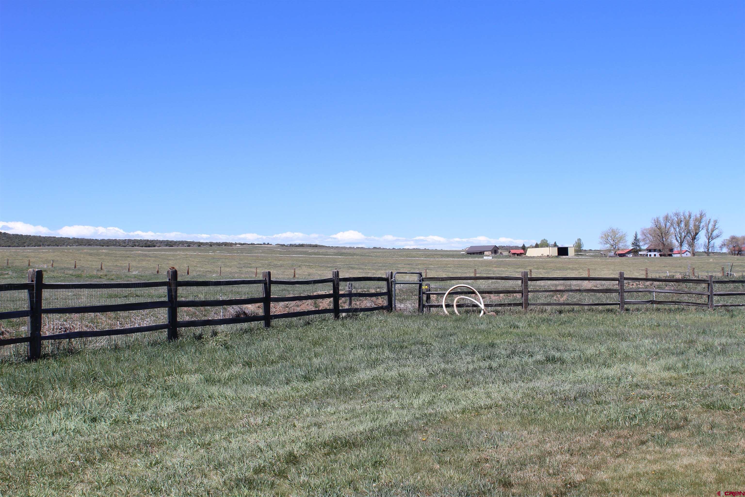 11737 Bostwick Park Road Montrose, CO 81401 - Photo 31 of 36