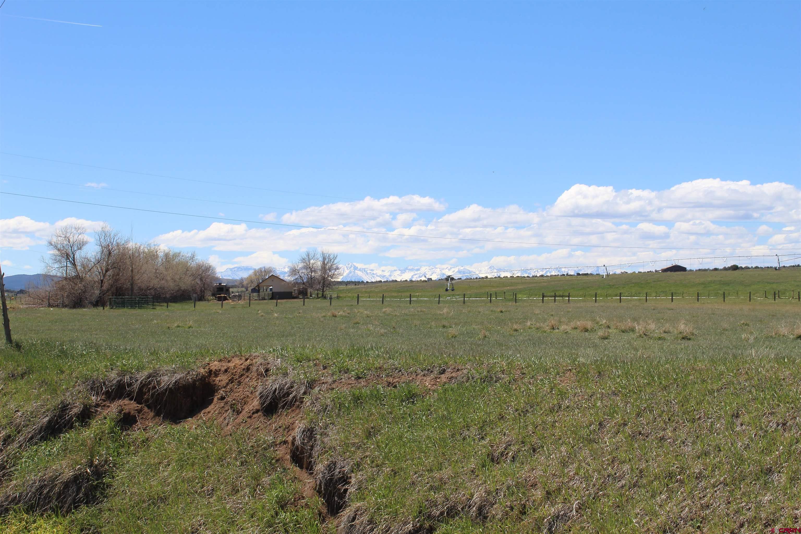 11737 Bostwick Park Road Montrose, CO 81401 - Photo 34 of 36