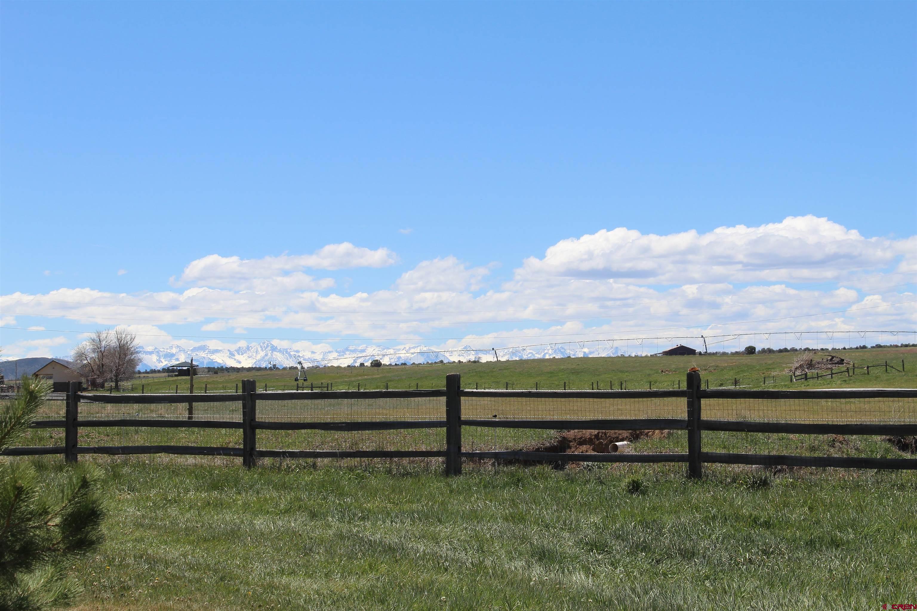 11737 Bostwick Park Road Montrose, CO 81401 - Photo 35 of 36