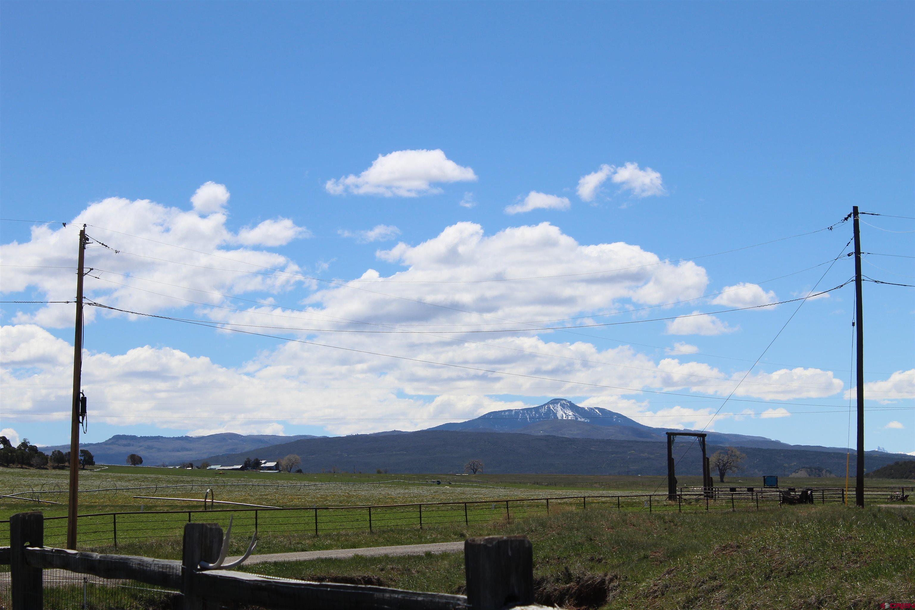 11737 Bostwick Park Road Montrose, CO 81401 - Photo 36 of 36