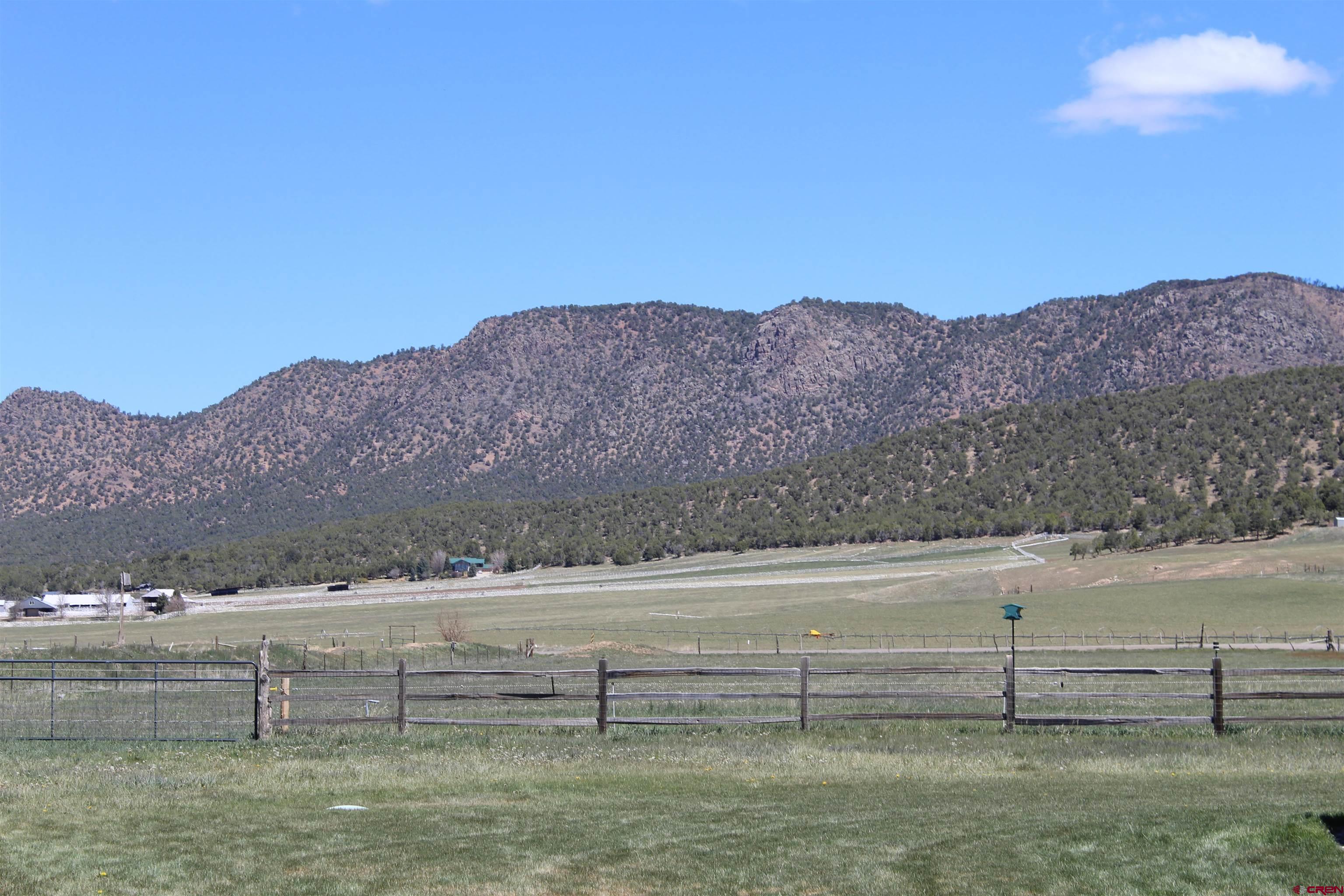11737 Bostwick Park Road Montrose, CO 81401 - Photo 4 of 36