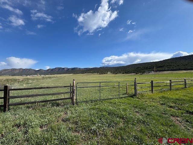 11737 Bostwick Park Road Montrose, CO 81401 - Photo 8 of 36