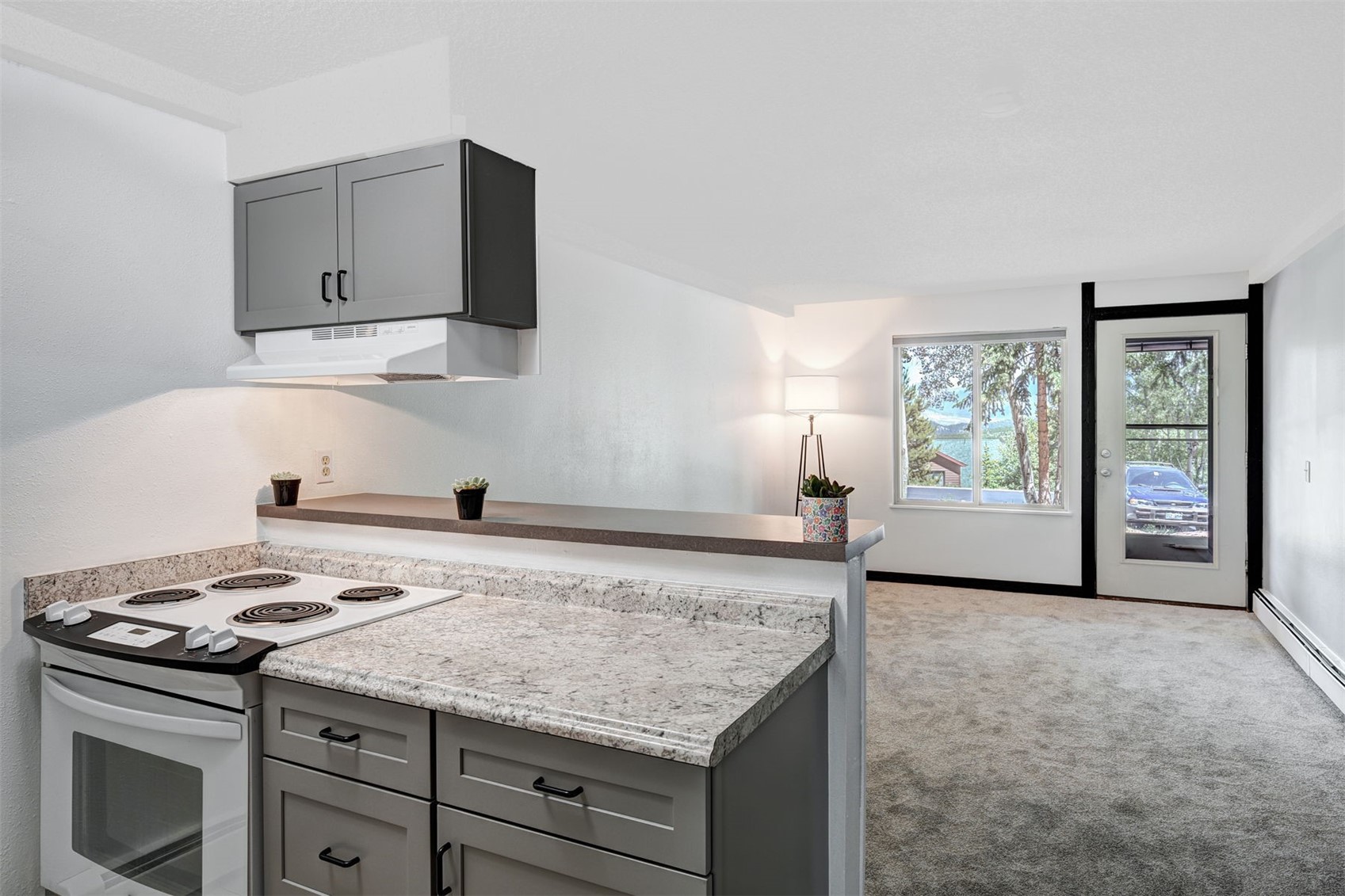7307 Ryan Gulch Road, Unit D8 Silverthorne, CO 80498 - Photo 16 of 31
